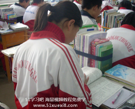 高一新生如何学习语文