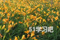 ƻ˲溦η